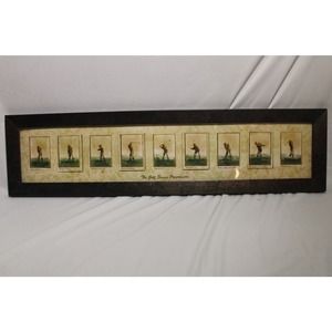 The Golf Swing Progression Framed Picture